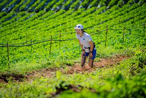 BIB: 
                            <button type="button" onclick="openModal(19162431)" class="btn btn-primary btn-sm float-right btn-popup" data-toggle="modal" data-target=".modal-high-quality">
                        <i class="fas fa-shopping-cart"></i> Add to Cart
                    </button>
                                            <button type="button" onclick="isThisMe(19162431, true)" class="btn btn-success btn-sm float-right btn-popup btn-isme hidden" data-toggle="tooltip" data-placement="bottom" title="นี่คือรูปของคุณใช่ไหม คลิกที่นี่เพื่อเอาเข้าอัลบั้ม">
                        <i class="fas fa-plus"></i> Add to album
                    </button>
                    <button type="button" onclick="isThisMe(19162431, false)" class="btn btn-warning btn-sm float-right btn-popup btn-isnotme hidden">
                        <i class="fas fa-ban"></i> Remove from album
                    </button>